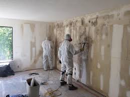 Professional Mold Inspection in Mcmurray, PA